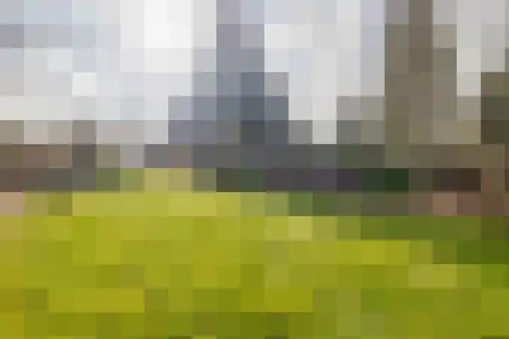 Kanaal A NZ 150 Emmer-Compascuum thumbnail 41
