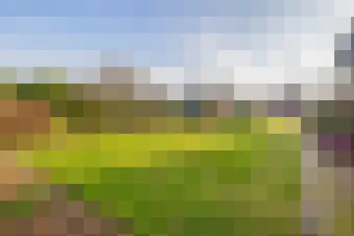 Kanaal A NZ 150 Emmer-Compascuum thumbnail 42