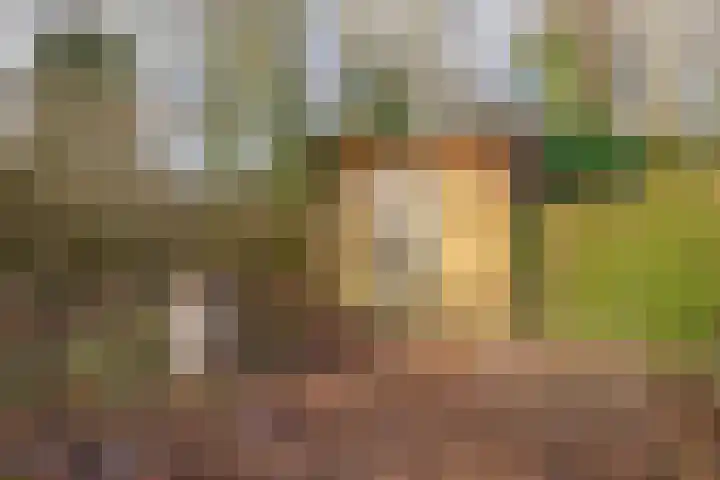 Kanaal A NZ 150 Emmer-Compascuum thumbnail 43