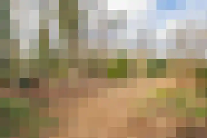 Kanaal A NZ 150 Emmer-Compascuum thumbnail 47