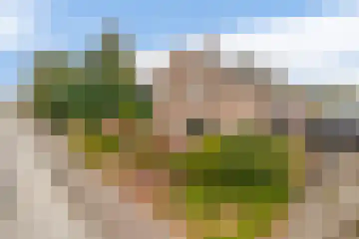 Kanaal A NZ 150 Emmer-Compascuum thumbnail 5