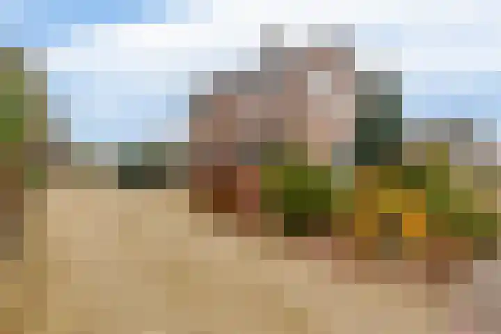 Kanaal A NZ 150 Emmer-Compascuum thumbnail 6
