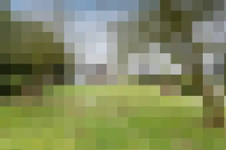 Kanaal A NZ 153 Emmer-Compascuum thumbnail 20