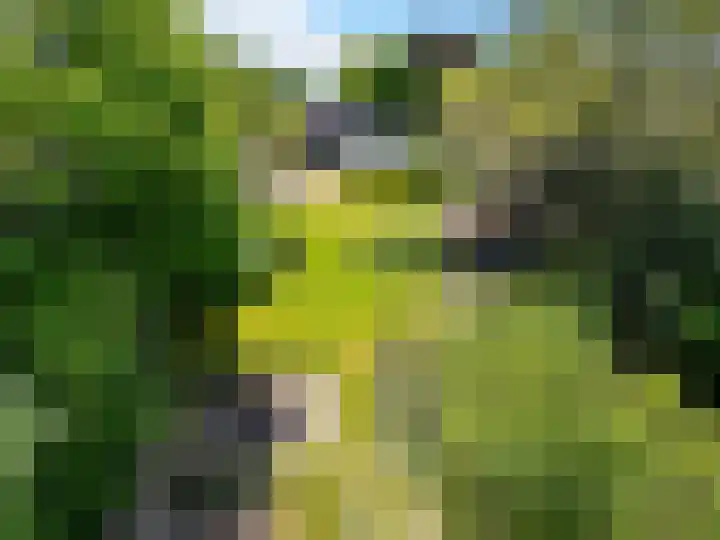 Kanaal A NZ 158 Emmer-Compascuum thumbnail 4