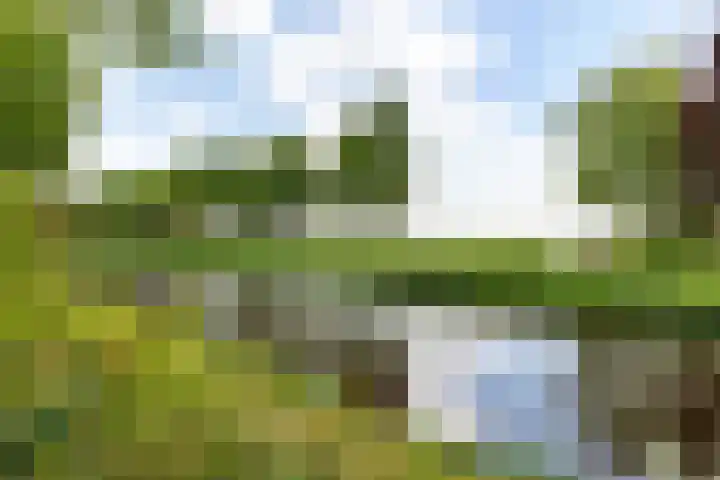 Kanaal A NZ 158 Emmer-Compascuum thumbnail 8