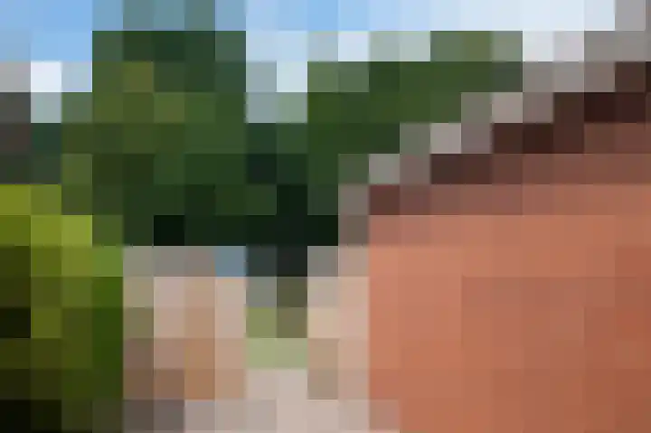 Kanaal A NZ 213 Emmer-Compascuum thumbnail 39