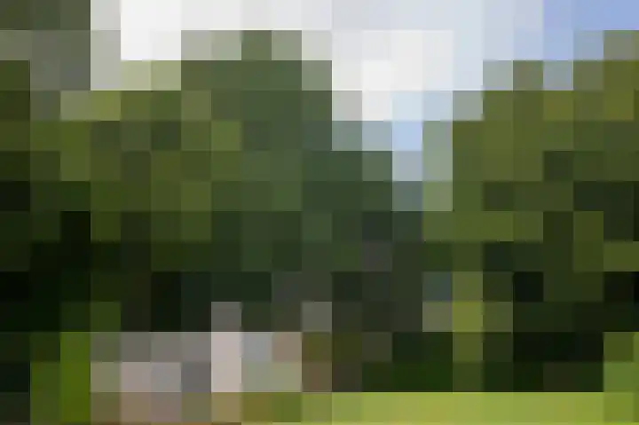 Kanaal A NZ 213 Emmer-Compascuum thumbnail 46