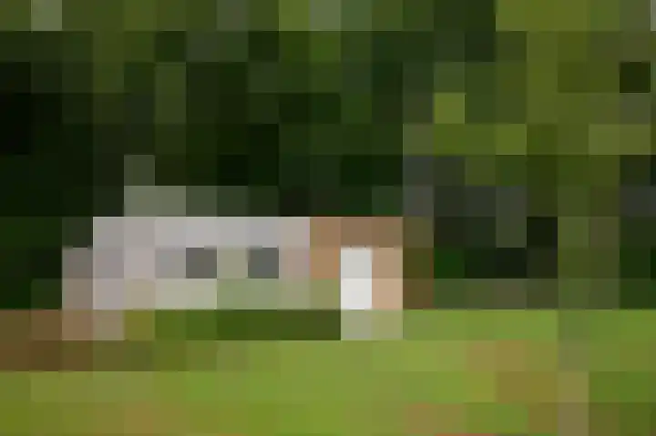 Kanaal A NZ 213 Emmer-Compascuum thumbnail 47