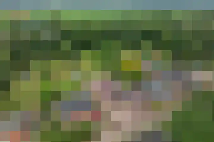 Kanaal A NZ 213 Emmer-Compascuum thumbnail 63
