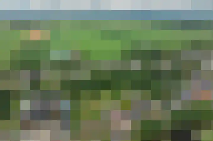 Kanaal A NZ 213 Emmer-Compascuum thumbnail 64