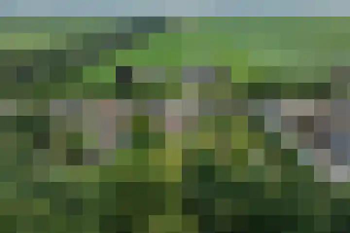 Kanaal A NZ 213 Emmer-Compascuum thumbnail 65