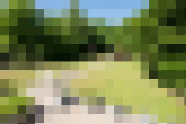 Kanaal A NZ 49 Emmer-Compascuum thumbnail 29