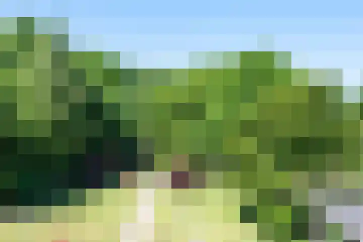 Kanaal A NZ 49 Emmer-Compascuum thumbnail 30