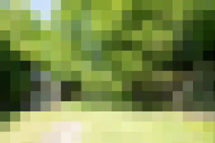 Kanaal A NZ 49 Emmer-Compascuum thumbnail 32