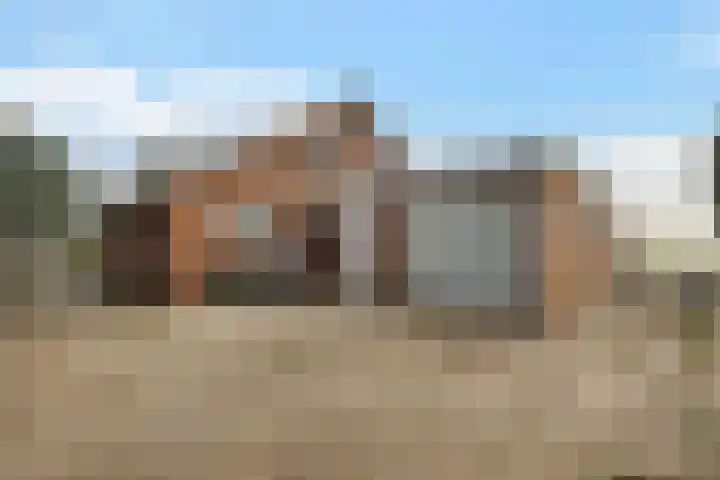 Kanaal A ZZ 60 Emmer-Compascuum thumbnail 10