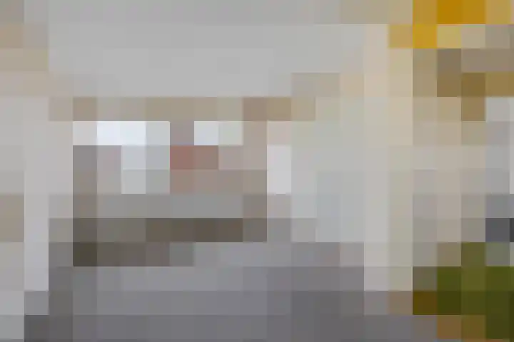 Kanaal B ZZ 165 I Emmer-Compascuum thumbnail 13