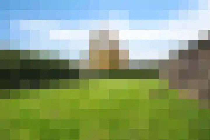 Kanaal B ZZ 165 I Emmer-Compascuum thumbnail 21