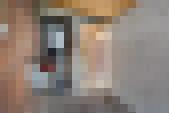 Kanaal B ZZ 165 I Emmer-Compascuum thumbnail 8