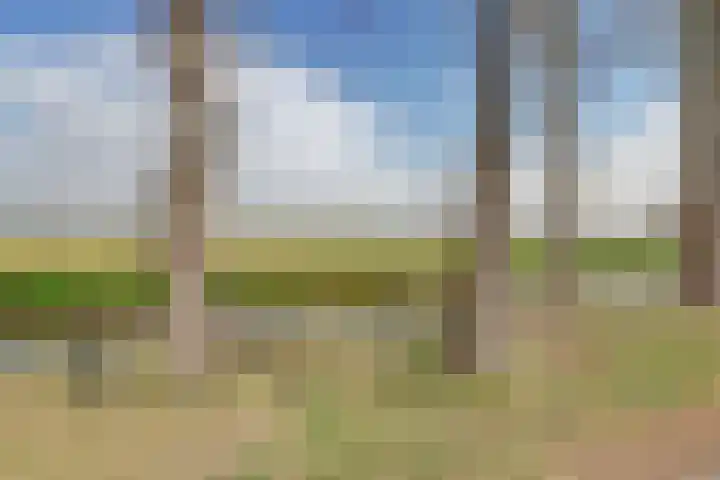 Kanaal B ZZ 53 Emmer-Compascuum thumbnail 30