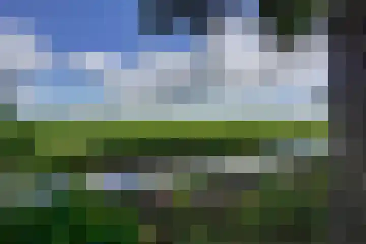 Kanaal B ZZ 78 Emmer-Compascuum thumbnail 38