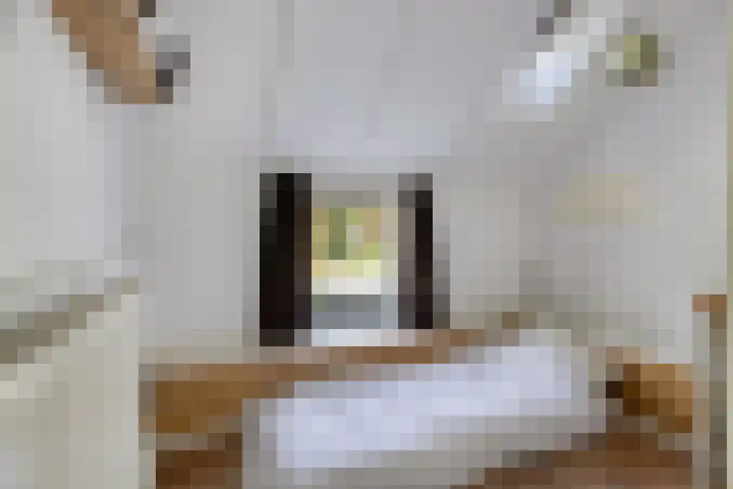 Kanaal N.Z. 4 Hooghalen thumbnail 34