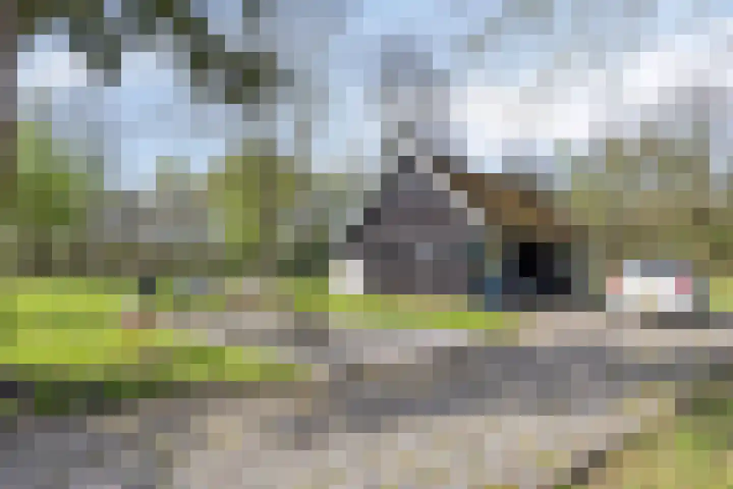 Kanaal N.Z. 4 Hooghalen thumbnail 46