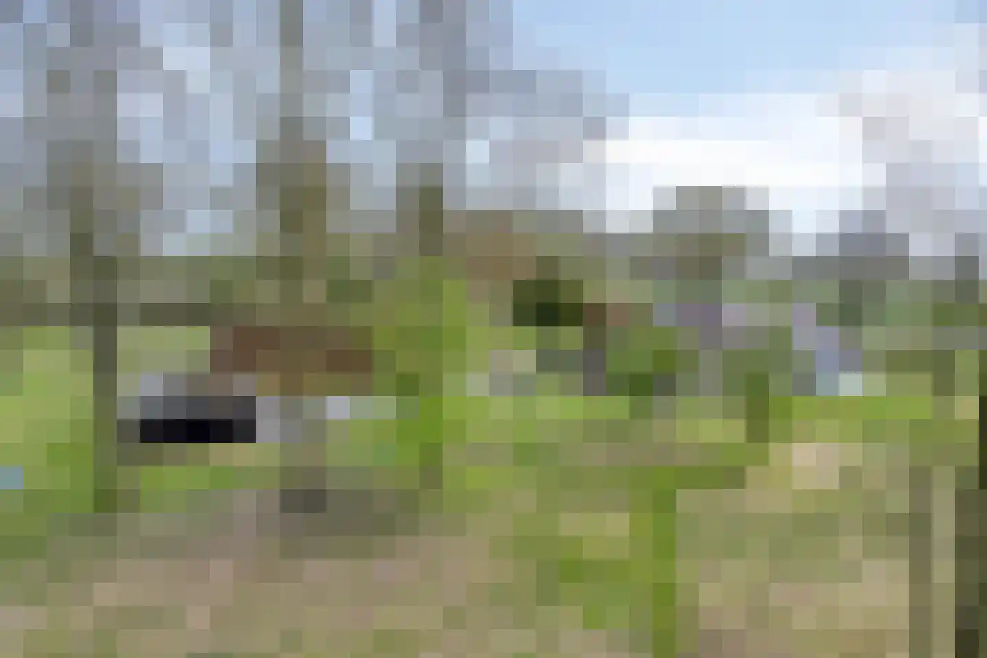 Kanaal N.Z. 4 Hooghalen thumbnail 58