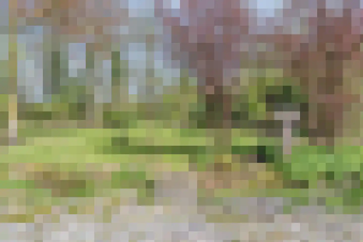 Kanaal N.Z. 4 Hooghalen thumbnail 65