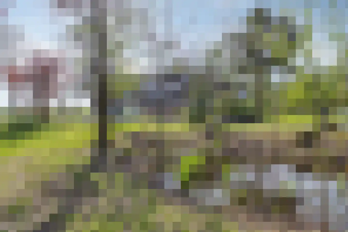 Kanaal N.Z. 4 Hooghalen thumbnail 67