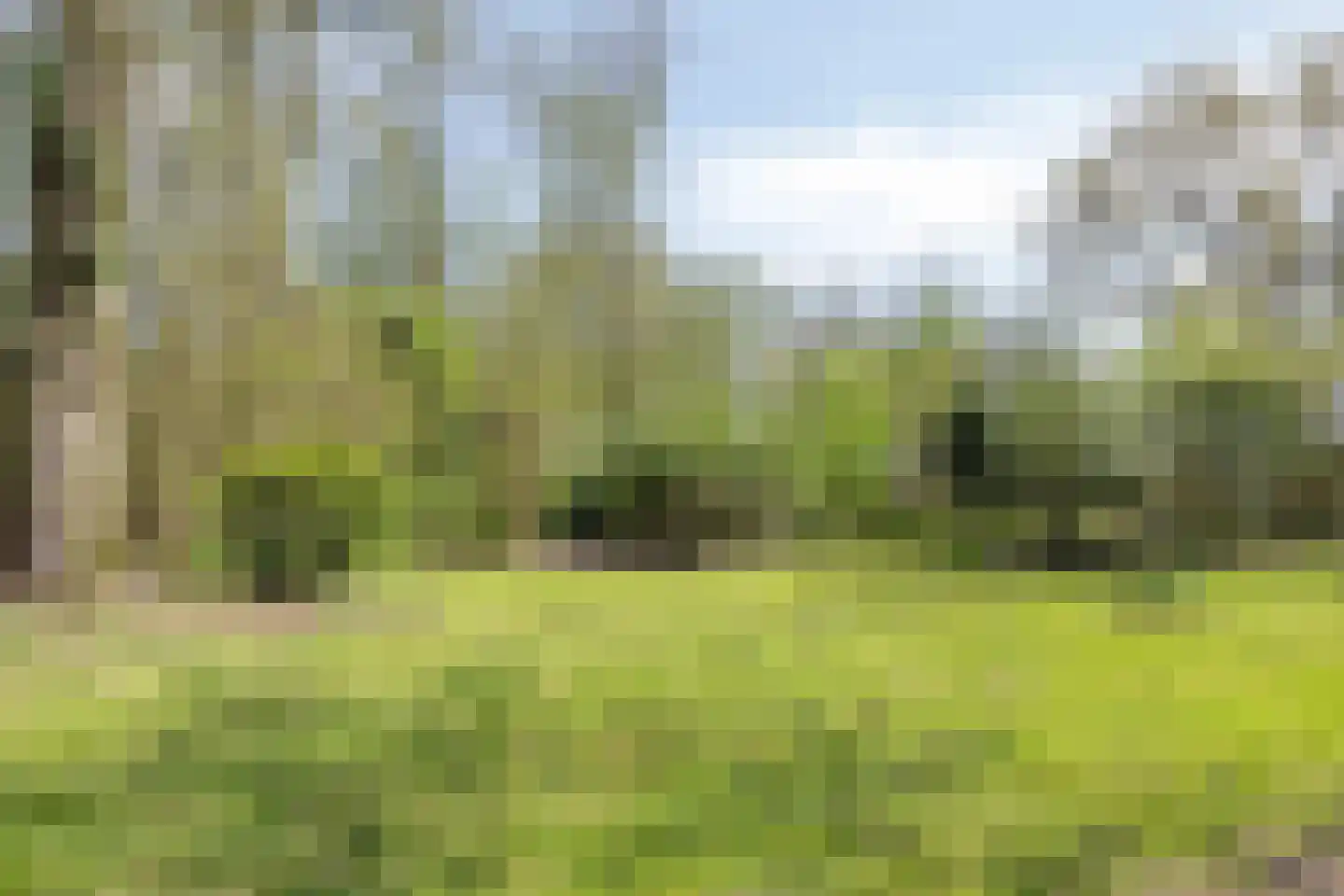 Kanaal N.Z. 4 Hooghalen thumbnail 68