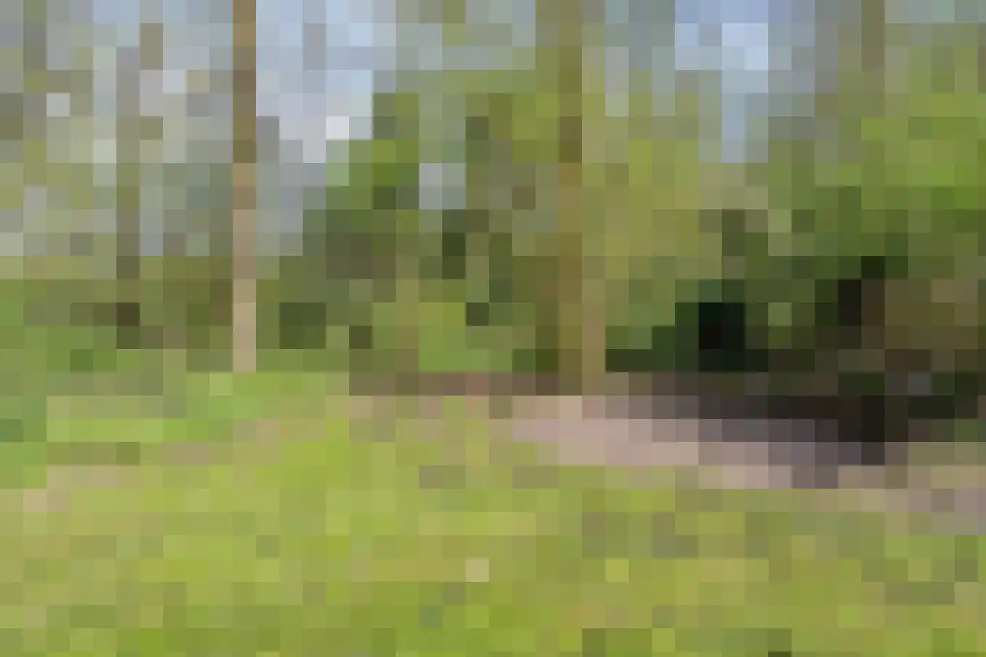 Kanaal N.Z. 4 Hooghalen thumbnail 69