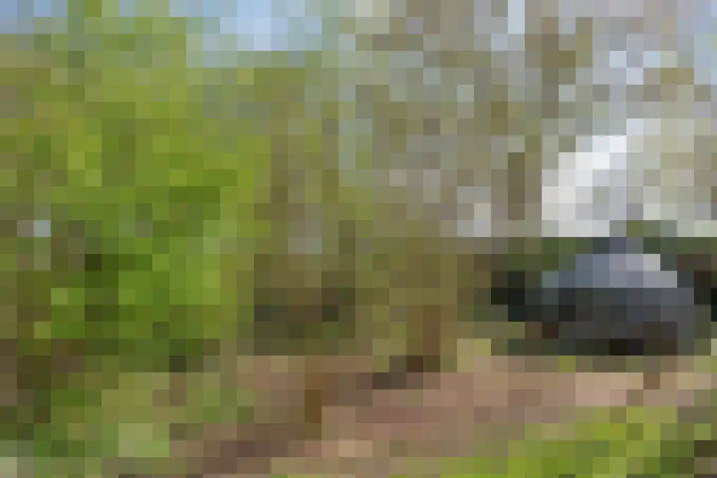 Kanaal N.Z. 4 Hooghalen thumbnail 70