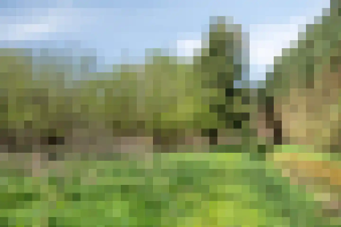 Kanaal N.Z. 4 Hooghalen thumbnail 74