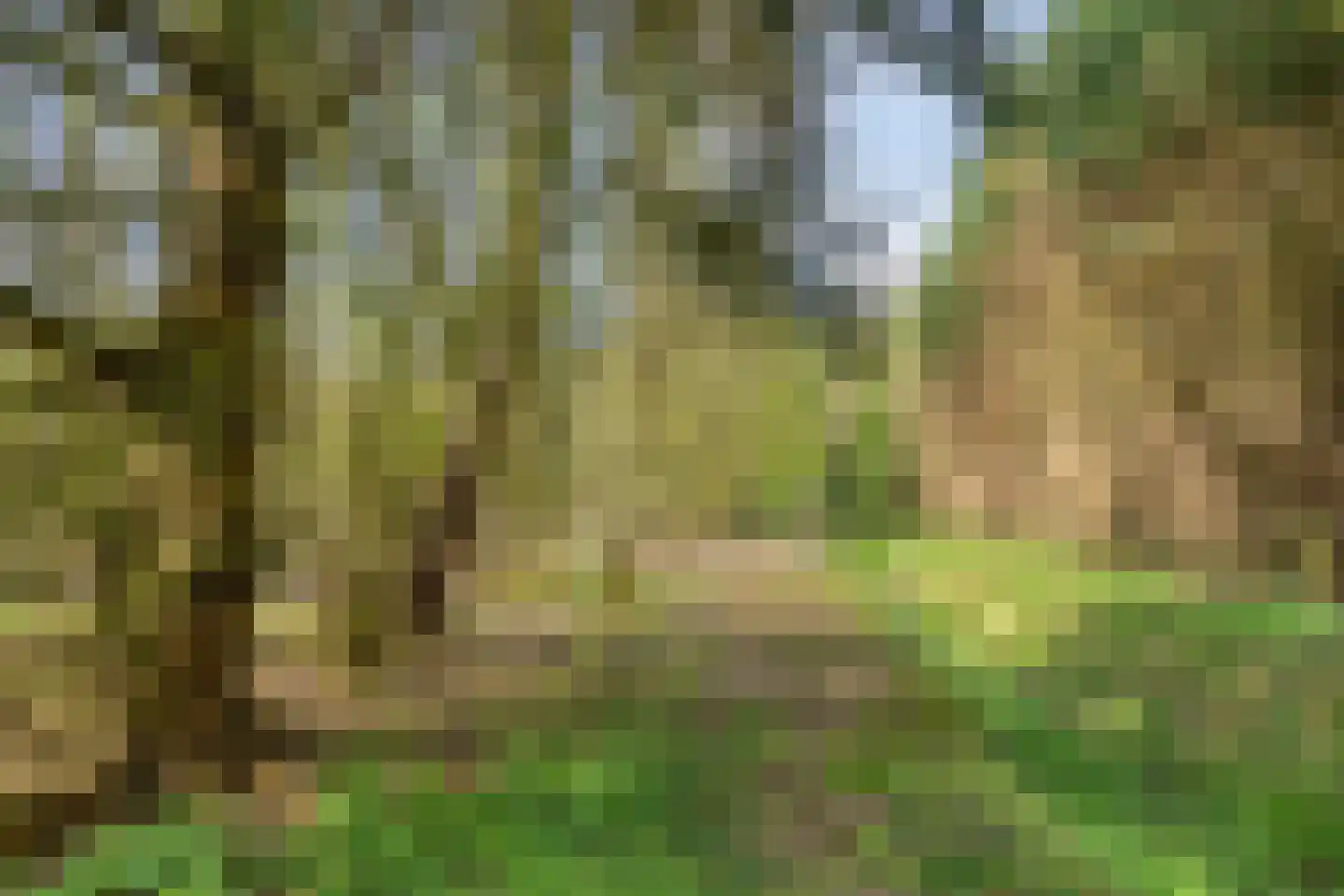 Kanaal N.Z. 4 Hooghalen thumbnail 75