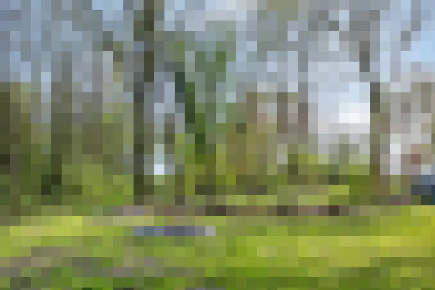 Kanaal N.Z. 4 Hooghalen thumbnail 78