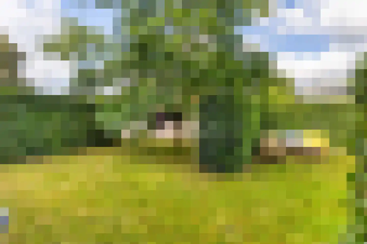 Kanaal Noord 120 Apeldoorn thumbnail 44