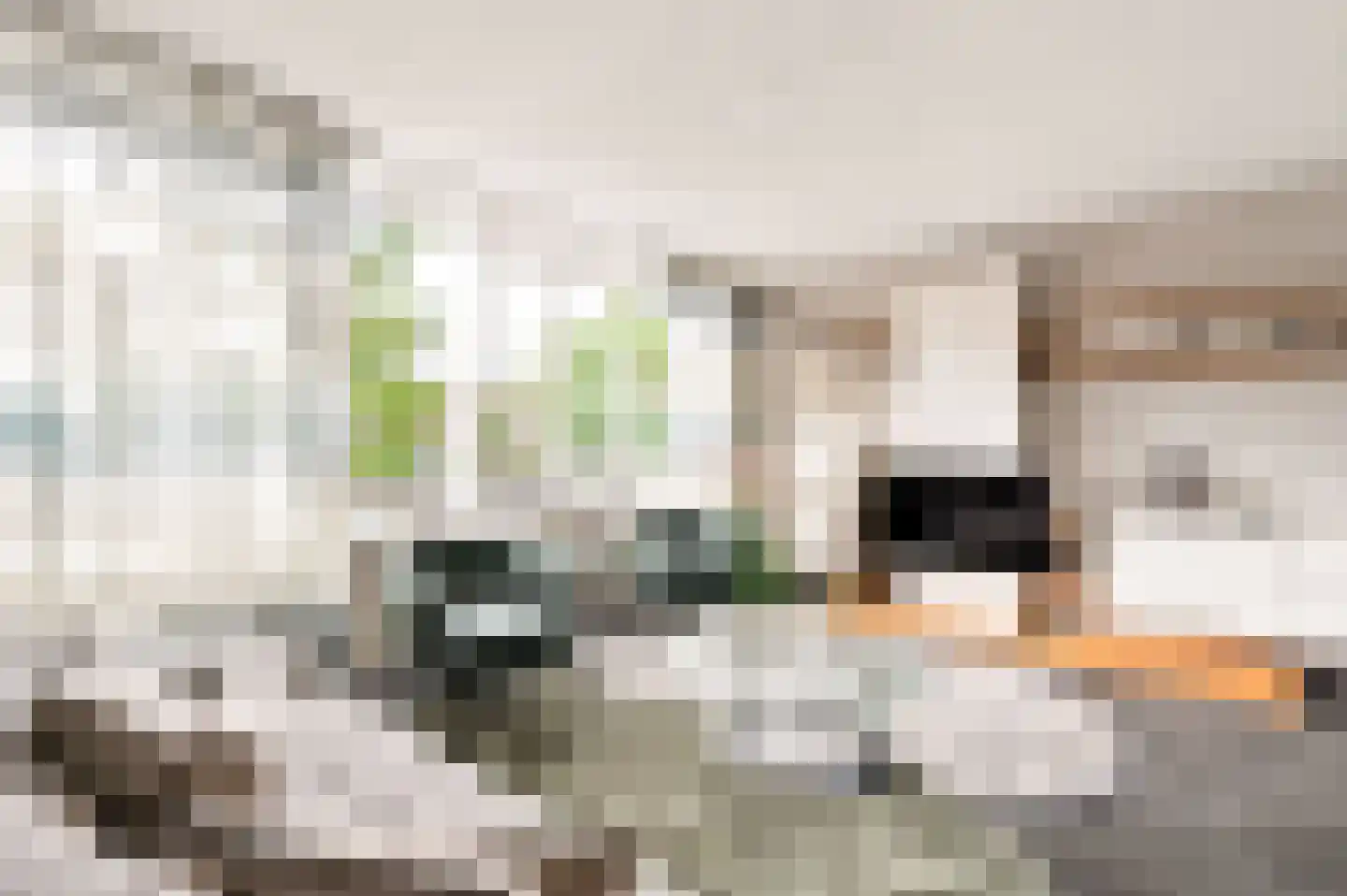 Kanaal Noord 85 C Apeldoorn thumbnail 20