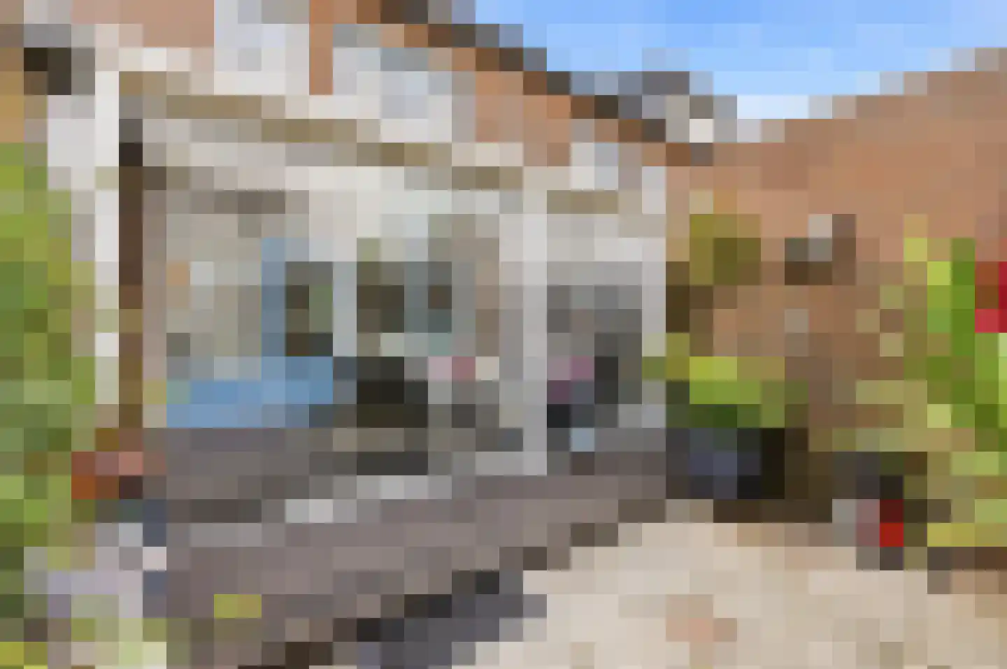 Kanaal Noord 85 C Apeldoorn thumbnail 32
