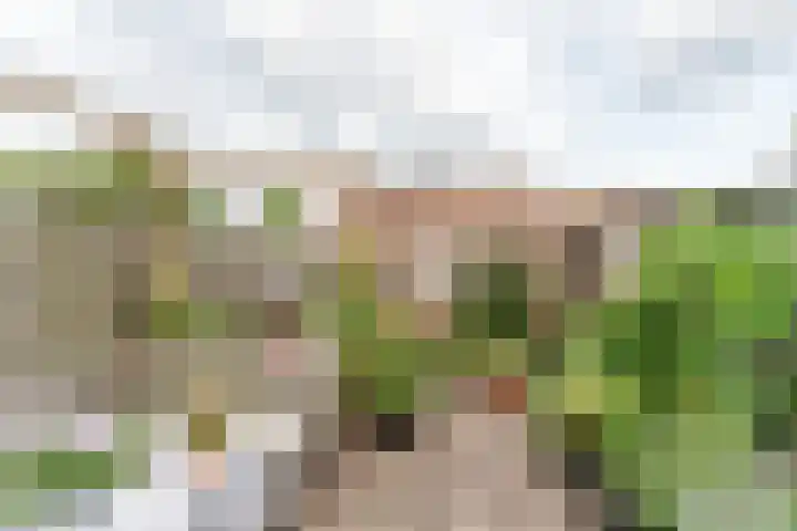 Kanaal Noord 85 D Apeldoorn thumbnail 37