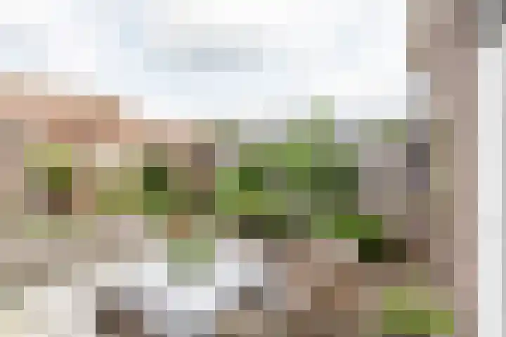 Kanaal Noord 85 D Apeldoorn thumbnail 38
