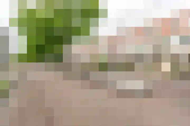 Kanaal Noord 85 D Apeldoorn thumbnail 4
