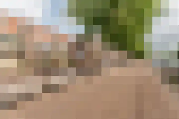 Kanaal Noord 85 D Apeldoorn thumbnail 5