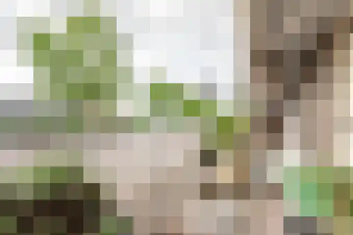Kanaal Noord 85 D Apeldoorn thumbnail 6
