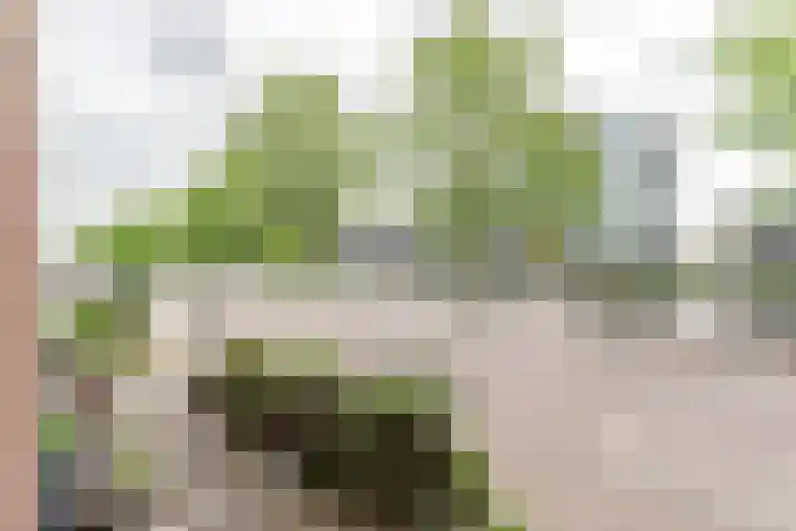 Kanaal Noord 85 D Apeldoorn thumbnail 7
