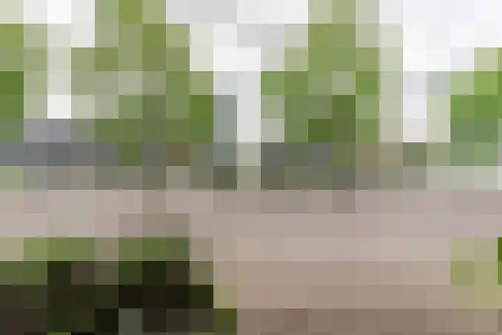 Kanaal Noord 85 D Apeldoorn thumbnail 8