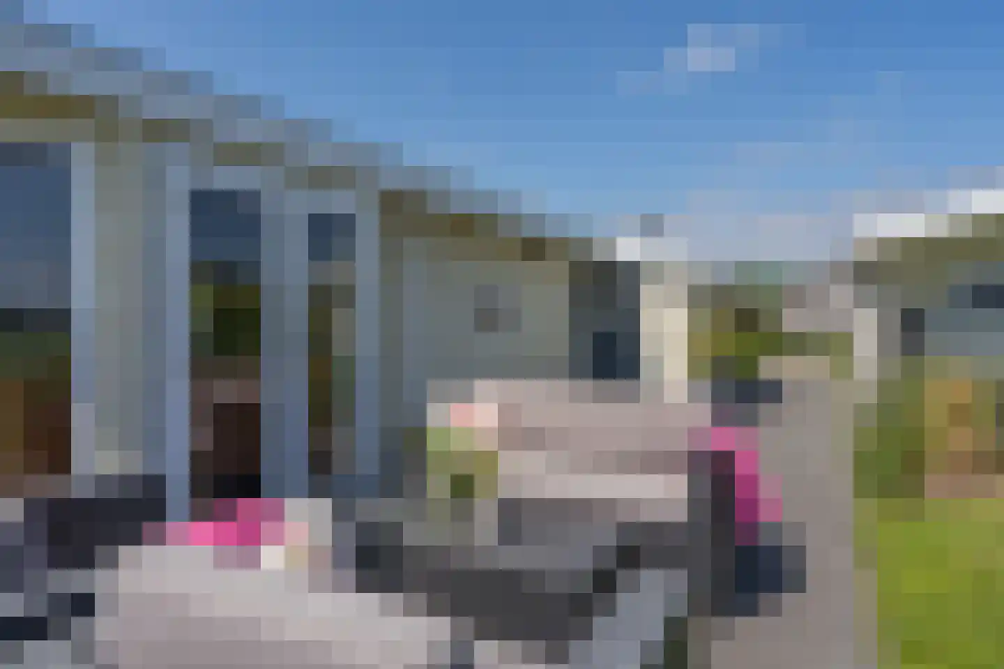Kanaal O.Z. 19 Drijber thumbnail 11