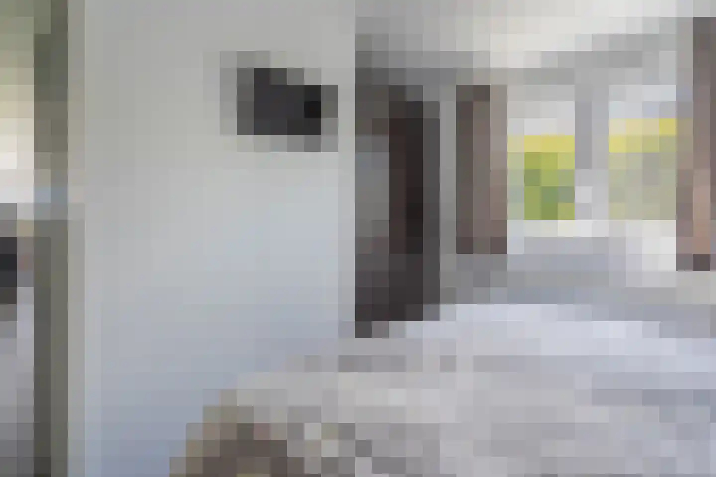 Kanaal O.Z. 19 Drijber thumbnail 24
