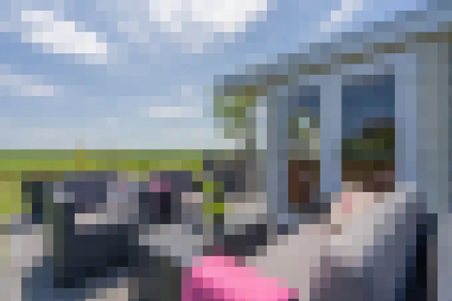 Kanaal O.Z. 19 Drijber thumbnail 33
