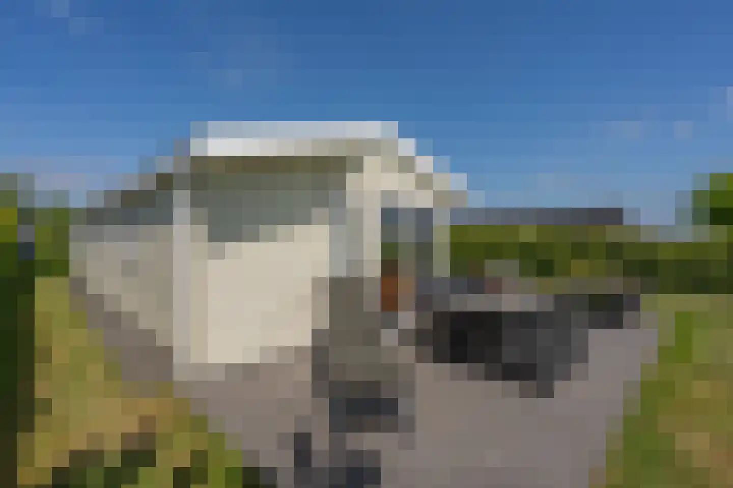 Kanaal O.Z. 19 Drijber thumbnail 35