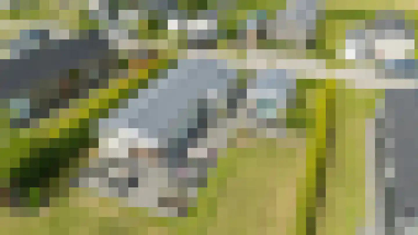Kanaal O.Z. 19 Drijber thumbnail 38